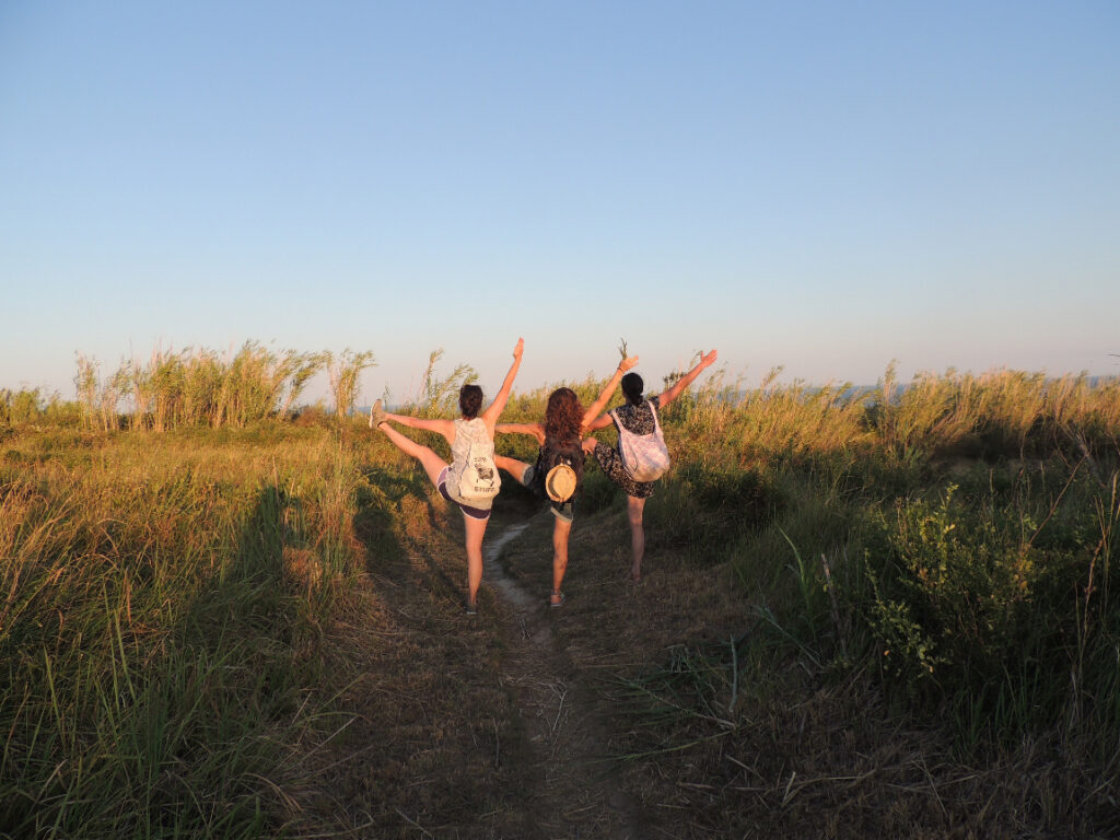 drei yogis